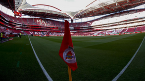 Benfica reabre hoje de manhã a venda de bilhetes para o jogo com o V. Guimarães
