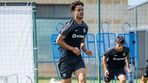 João Muniz: O pinguinzinho cresceu e agora ruge como um leão