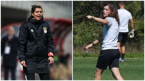 Elas estão de volta