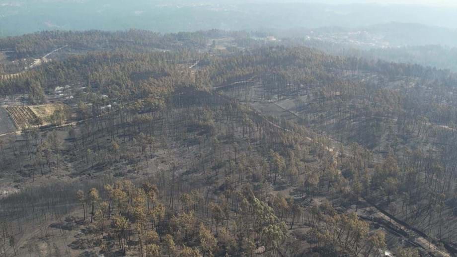 Plataforma de parapente e via de escalada afetadas pelo incêndio de Proença-a-Nova