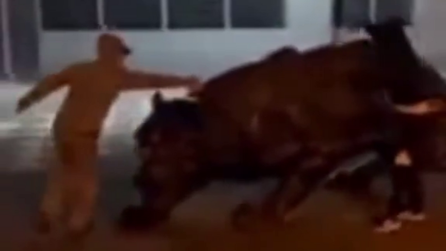 Estátua do clube foi danificada na madrugada de sábado