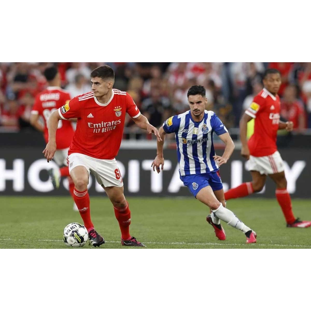 Agarra-me se puderes: antevisão ao Benfica-FC Porto, com os onzes prováveis  - Liga Betclic - Jornal Record