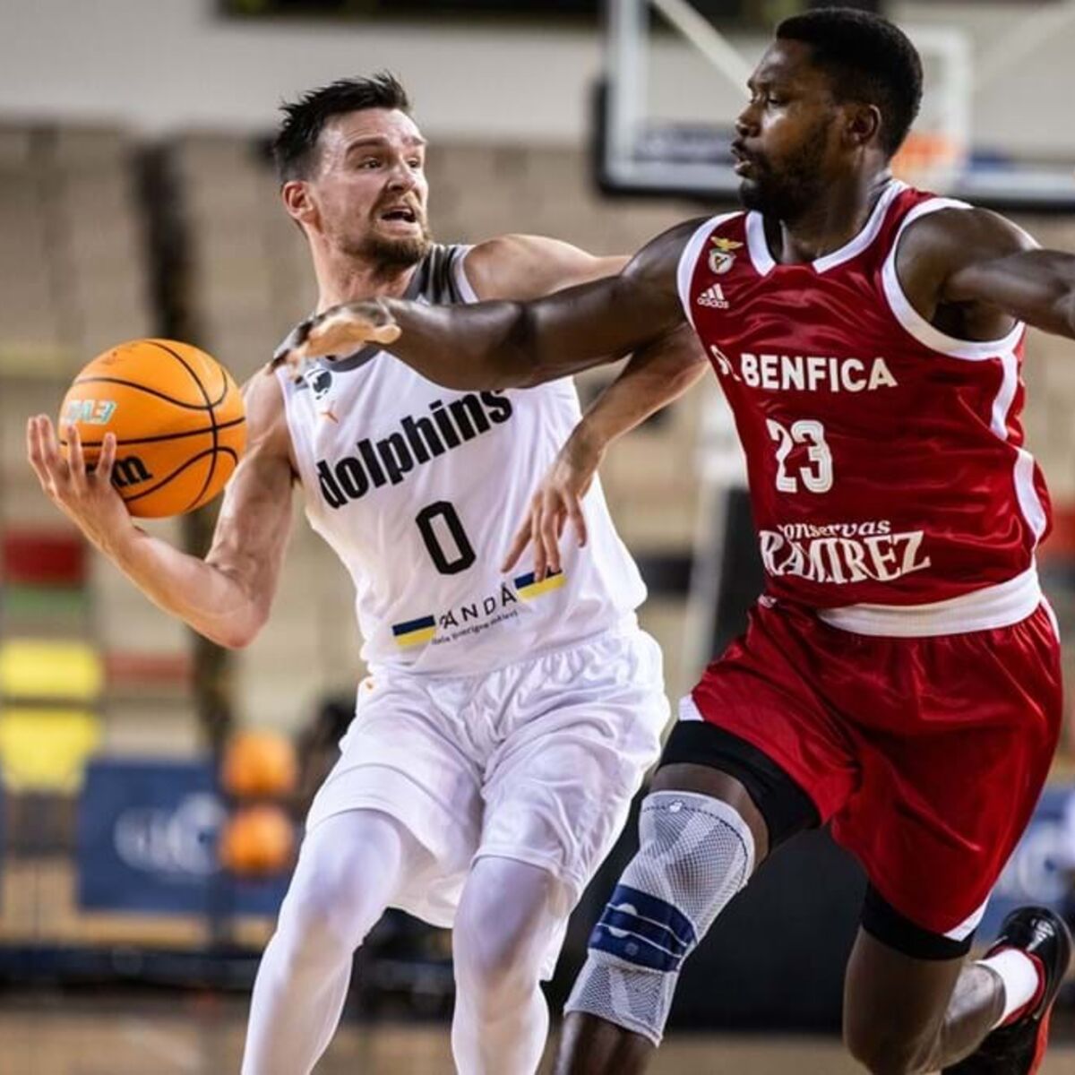 Basquetebol. Benfica apura-se para fase de grupos da Champions