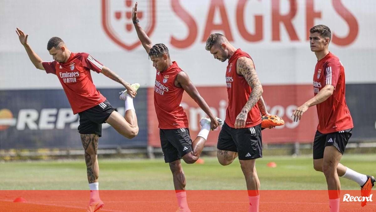 António Silva y Morato ya entrenan en el campus del Benfica – Benfica