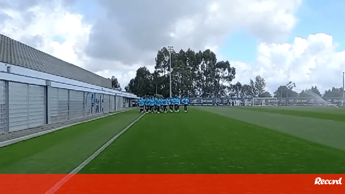 Preparação do FC Porto para o jogo da Champions com muitos ausentes do  relvado - FC Porto - Jornal Record