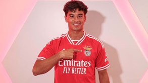 Diogo Ferreira reforça Benfica 