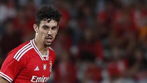 Schmidt segurou Tomás Araújo no Benfica