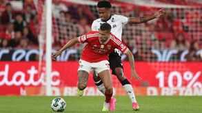 Defesa do Benfica está organizada: Schmidt revelou opções