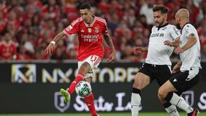 O resumo do Benfica-V. Guimarães: golos, casos e outros lances