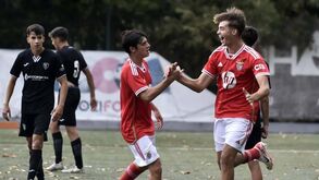 A crónica do Ac. Viseu-Benfica, 2-5: Águia teimou em acelerar e engordou triunfo no fim