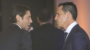 Francisco Benitez pede reação de Rui Costa: «Deveria retirar a confiança em Pedro Proença»