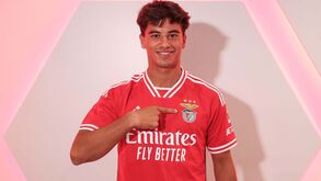 Diogo Ferreira reforça Benfica 