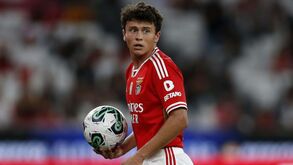 Rui Costa explica renovações e assume: «A de João Neves foi a mais fácil que tive no Benfica»