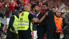 Confusão no Benfica-Sp. Braga: amnistia para os dois lados por causa... do Papa