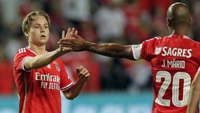Mercado rende lucro de 35,3 milhões de euros ao Benfica