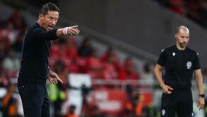 Roger Schmidt já utilizou mais jogadores mas há um insubstituível no Benfica