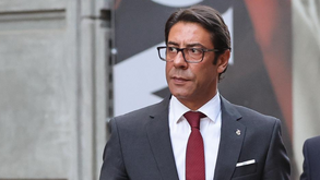 Auditoria forense concluída e em análise: Rui Costa prometeu resultados em setembro