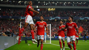 Sucesso desportivo também dá despesas: os prémios pagos pela SAD do Benfica