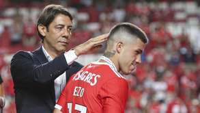 SAD do Benfica volta às contas positivas