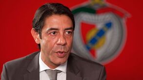 Rui Costa: «Benfica não quer nem vai sair prejudicado da centralização»