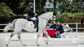 Dressage luso falha Paris'2024 por um lugar