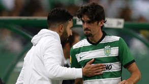 Este leão não pede emprestado: SAD do Sporting muda paradigma