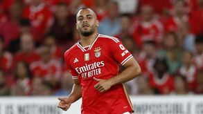 Jornalista brasileira: «São ridículas as chamadas de Matheus Cunha e Richarlison em vez de Arthur Cabral»