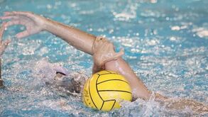 V. Guimarães e Fluvial Portuense encontram-se na 2.ª fase da Challenger Cup