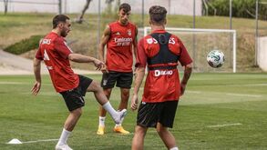 Quarteto 'reforça' Benfica: Schmidt trabalha com plantel cada vez mais composto  