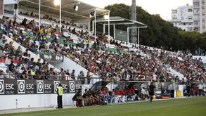 E. Amadora pede a sócios que não levem adereços com cores do FC Porto para a bancada