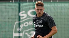 Quarteto do Sporting tratado com pinças
