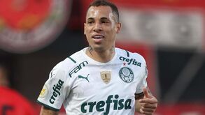 Palmeiras de Abel Ferreira bate Goiás com golo nos descontos