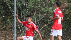 A crónica do Benfica-Farense, 5-0: Exibição a pedir bis
