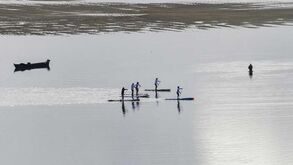 Federação de surf acusa Federação de canoagem de ingerência na tutela do Stand up Paddle