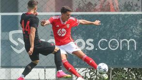 As melhores imagens do Benfica-Salzburgo da UEFA Youth League 