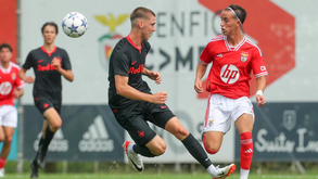 A crónica do Benfica-Salzburgo, 1-1: Empate no arranque
