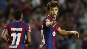 Futre: «É preciso perguntar aos treinadores que não queriam João Félix o que pensam dele agora»