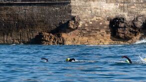 Tudo pronto para a histórica Ultramaratona entre Lisboa e Cascais: «Será uma festa»