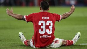 Negócio Musa: empresários punidos por 