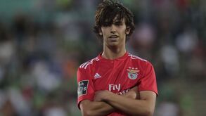 Benfica Campus a somar há 17 anos: os milhões que já renderam os jogadores formados no Seixal