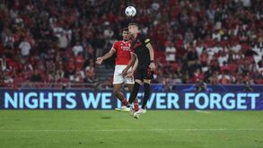 Roger Schmidt: «Bah podia ter sido mais inteligente porque se caísse...»