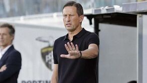 Schmidt elogia 