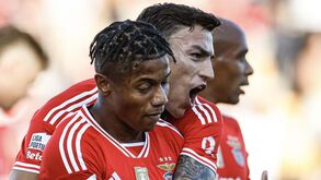 As notas dos jogadores do Benfica diante do Portimonense: Neres impaciente para dar espetáculo