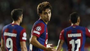 Xavi rendido à influência de João Félix: «O talento tinha de sair de alguma maneira...»