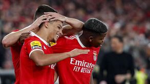 Bah e Florentino a 100 por cento até sexta-feira