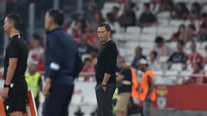 Schmidt rendido a João Neves: «Acho que toda a gente vê o quão feliz é a jogar futebol»