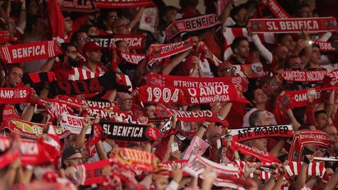 Benfica vai disputar jogo da Champions feminina no Estádio da Luz - Futebol  Feminino - Jornal Record