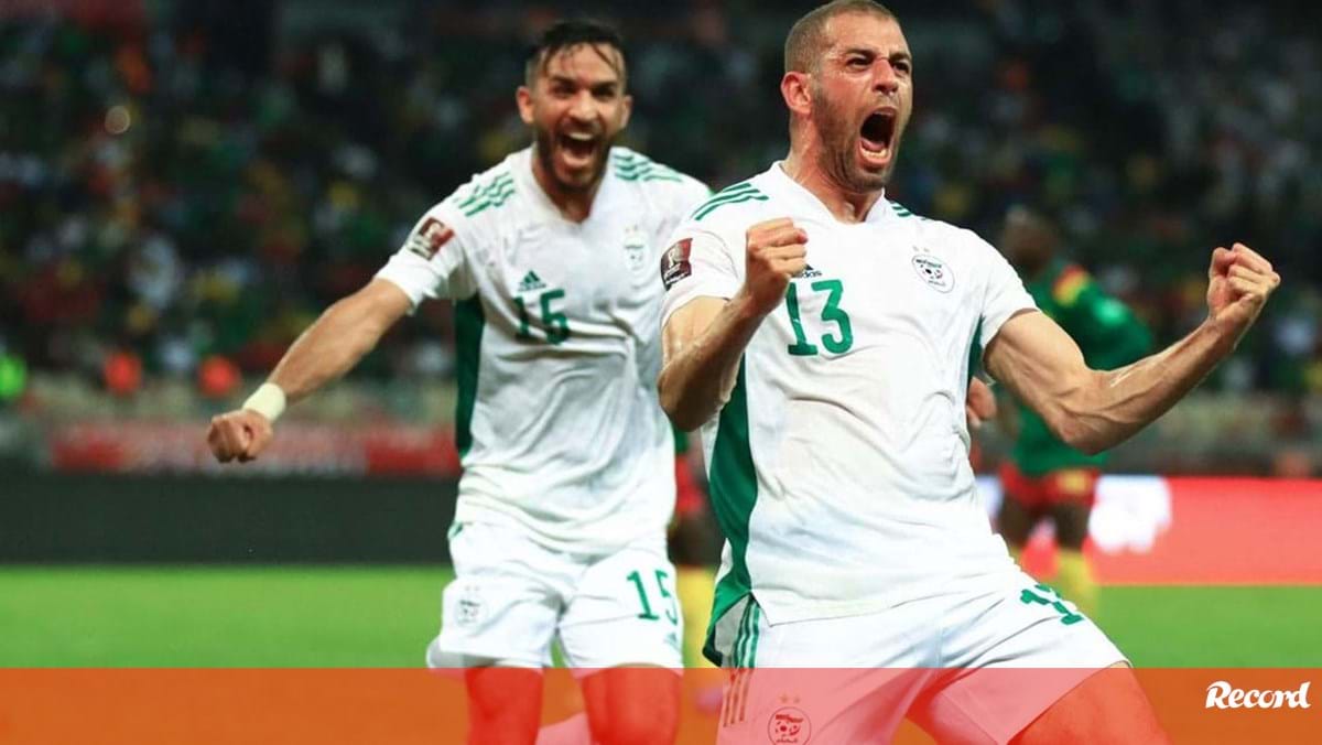 Algeria’s Late Goal Draws (1-1) Against Egypt – Rui Vitória Praises Pharaohs’ Resilience