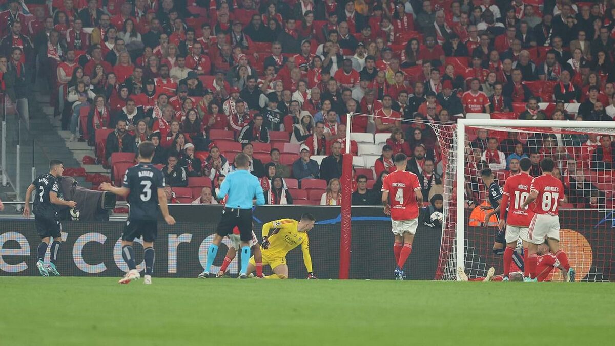 Basquetebol Direto Crónica Benfica Imortal Liga - SL Benfica