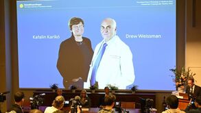 Prémio Nobel da Medicina para investigadores que permitiram criar vacinas contra a Covid-19